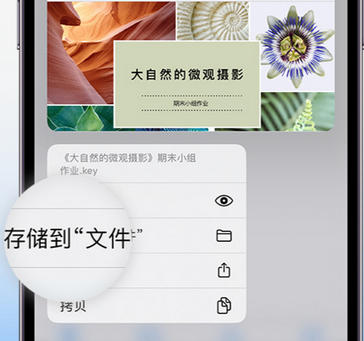 吴中apple维修中心分享iPhone文件应用中存储和找到下载文件