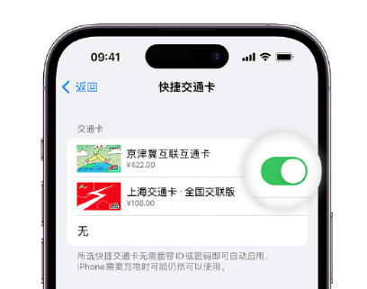 吴中apple维修点分享iPhone上更换Apple Pay快捷交通卡手绘卡面 