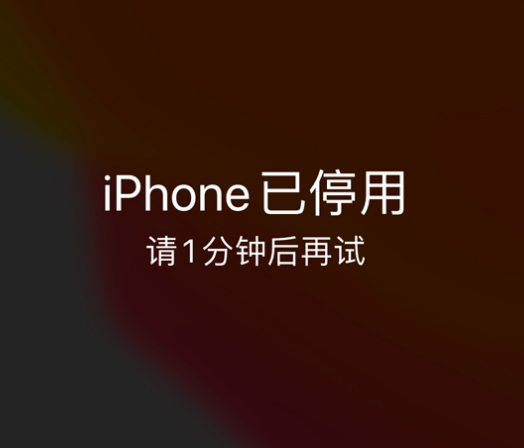 吴中苹果手机维修分享:iPhone 显示“不可用”或“已停用”怎么办？还能保留数据吗？ 