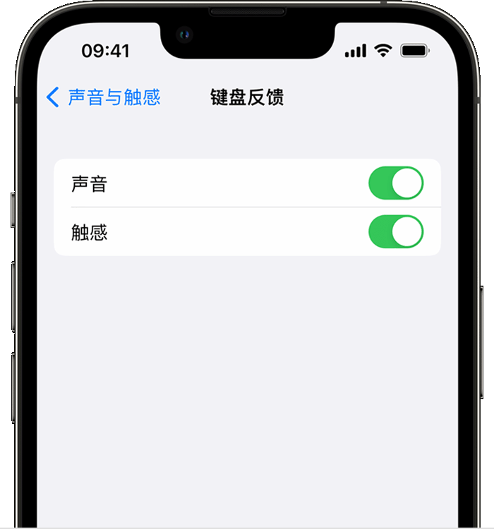 吴中苹果14维修店分享如何在 iPhone 14 机型中使用触感键盘 