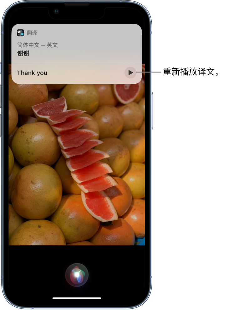 吴中苹果14维修分享 iPhone 14 机型中使用 Siri：了解 Siri 能帮你做什么 