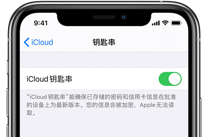 吴中苹果手机维修分享在 iPhone 上开启 iCloud 钥匙串之后会储存哪些信息 