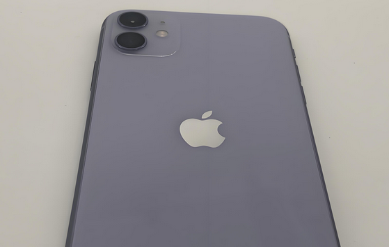吴中苹果11系统维修分享iPhone11手机系统崩溃无法开机如何解决 